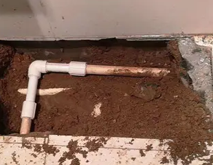 巴林右测漏水哪家好