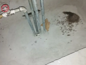 巴林右卫生间测漏水价格明细