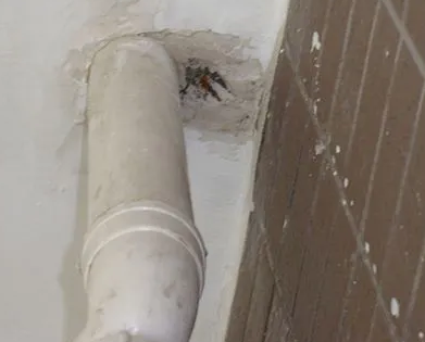 巴林右漏水检测哪家好